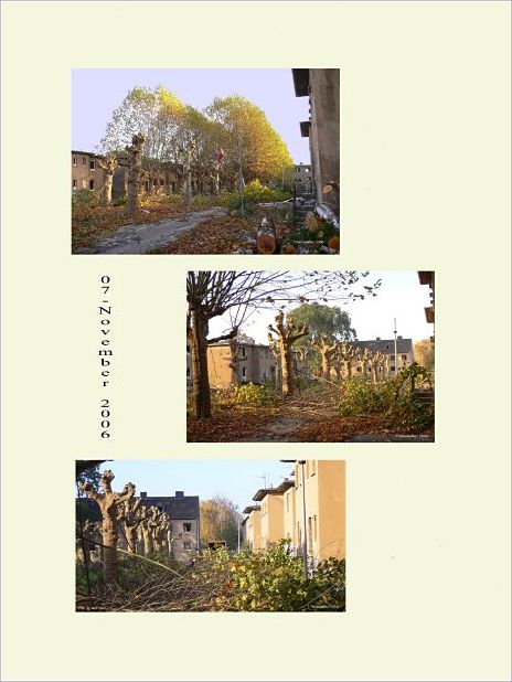 Margaretenhof 055